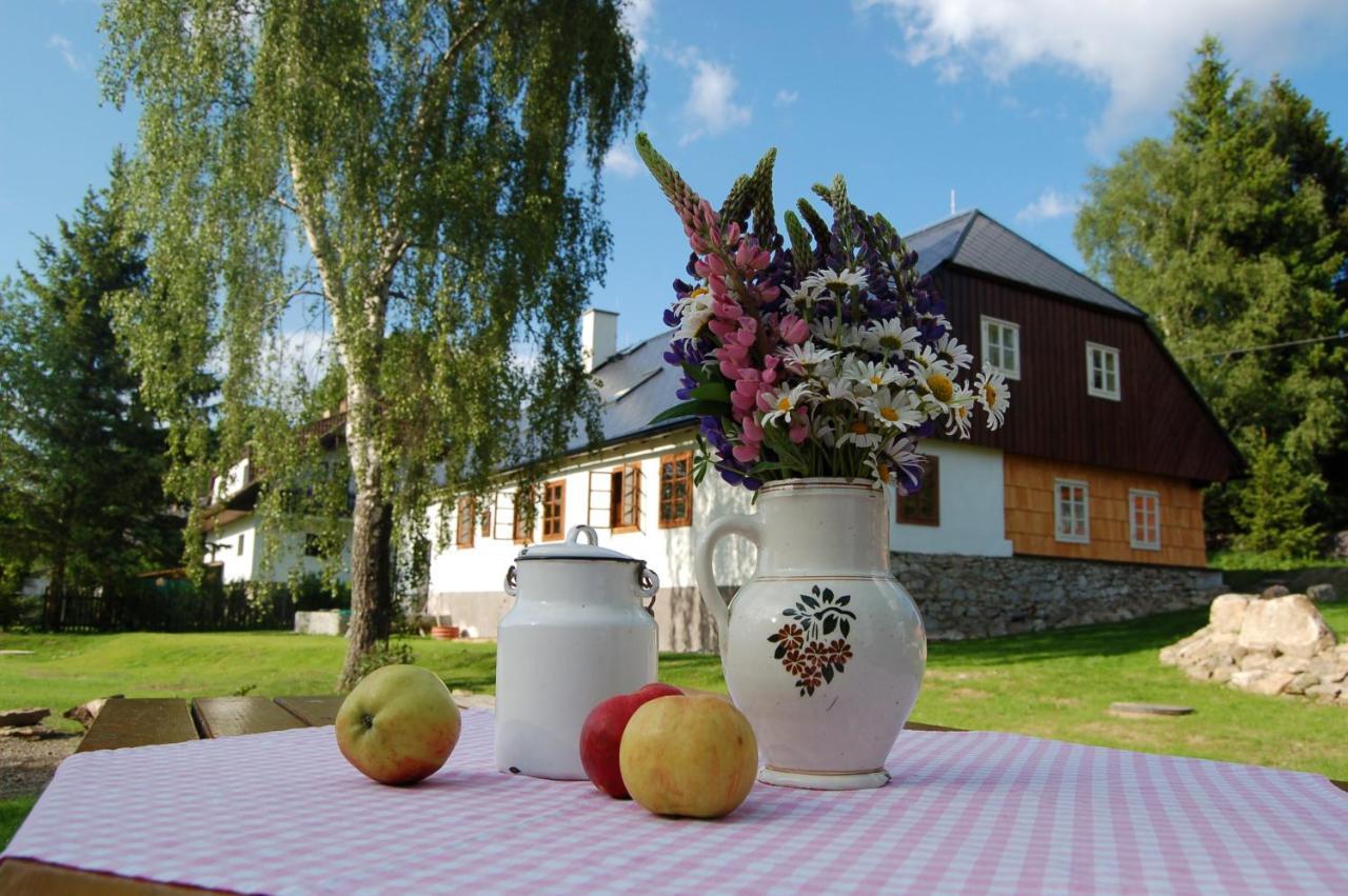 Apartamento Chalupa Novy Svet Na Sumave Borová Lada Exterior foto